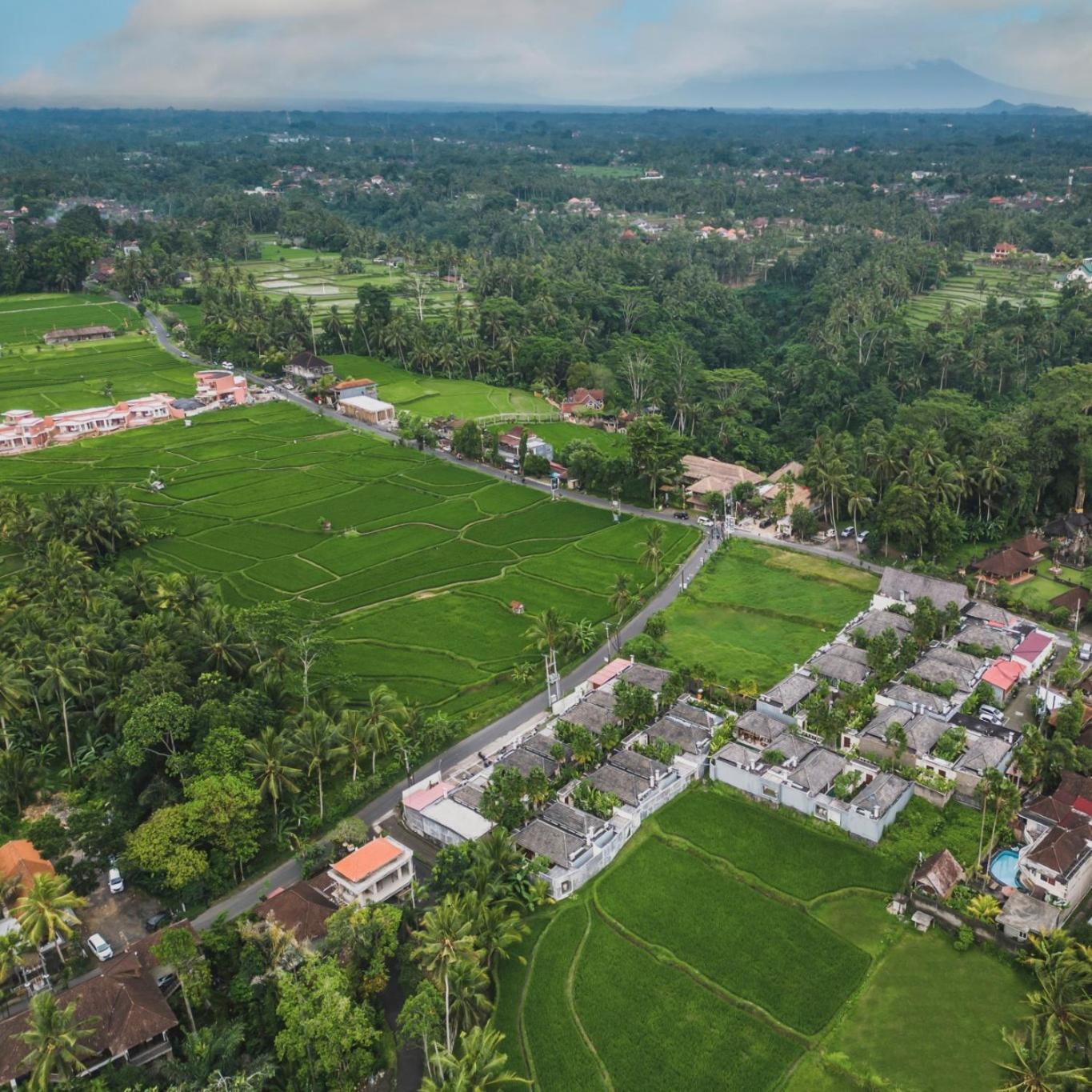 Asvara Villa Ubud By Ini Vie Hospitality Εξωτερικό φωτογραφία